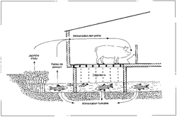 Aquaculture