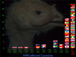 Outbreaks of highly pathogenic avian influenza