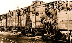 Boxcars were labeled “8 horses or 40 men.