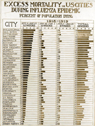 Excess Deaths