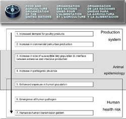 FAO traces the evolution of a pandemic