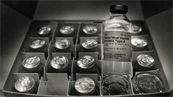 Unused swine flu vaccine