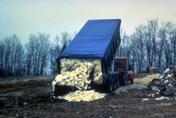 Virginia outbreak of bird flu in 2002