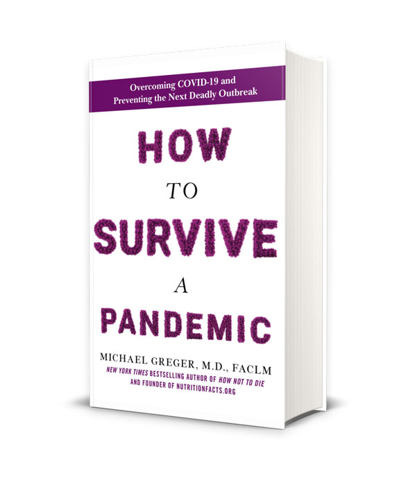 How to Survive a Pandemic Cover